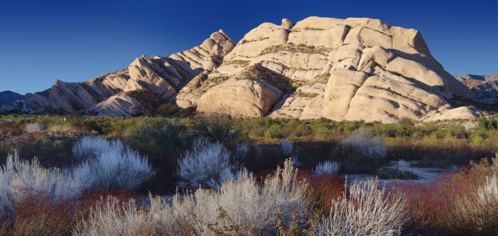 Phelan Locksmith Company